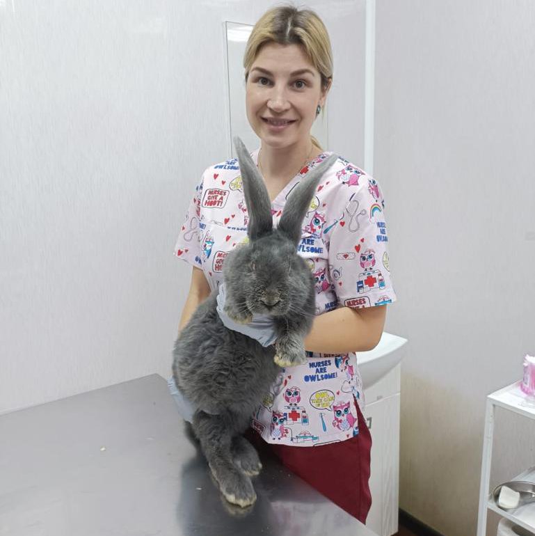 Чухрова Анна Сергеевна
